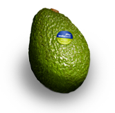 avocado